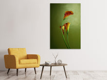 Load image into Gallery viewer, Canvas print 3 Callas
