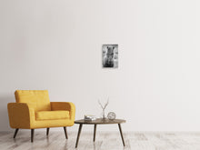 Load image into Gallery viewer, Canvas print Horse Being At The Corridor
