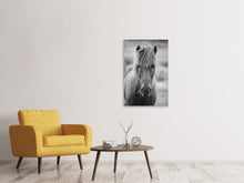 Load image into Gallery viewer, Canvas print Horse Being At The Corridor
