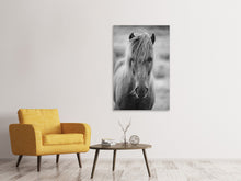 Load image into Gallery viewer, Canvas print Horse Being At The Corridor
