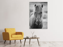 Load image into Gallery viewer, Canvas print Horse Being At The Corridor
