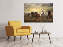 Load image into Gallery viewer, Canvas print Wild Wild Horses
