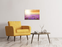 Load image into Gallery viewer, Canvas print Sunset In Lavender Field
