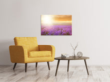 Load image into Gallery viewer, Canvas print Sunset In Lavender Field
