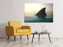 Load image into Gallery viewer, Canvas print Shark Fin
