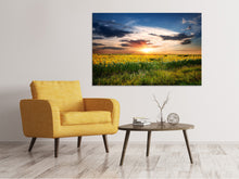 Load image into Gallery viewer, Canvas print A Field Of Sunflowers
