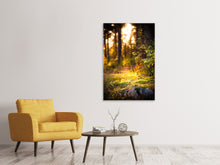 Load image into Gallery viewer, Canvas print The Forest In The Background

