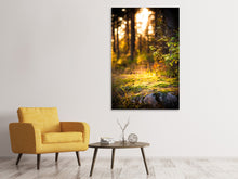 Load image into Gallery viewer, Canvas print The Forest In The Background

