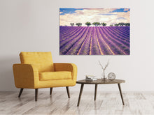 Load image into Gallery viewer, Canvas print The Lavender Field
