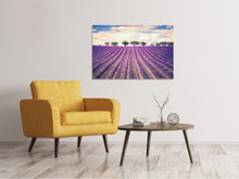 Load image into Gallery viewer, Canvas print The Lavender Field
