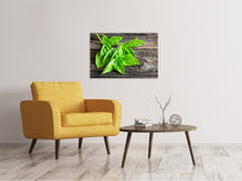 Load image into Gallery viewer, Canvas print Basil Leaves
