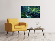 Load image into Gallery viewer, Canvas print Nature
