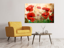 Load image into Gallery viewer, Canvas print The Poppy

