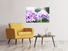 Load image into Gallery viewer, Canvas print Hydrangeas
