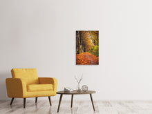 Load image into Gallery viewer, Canvas print Deciduous Forest In Autumn Light
