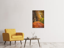 Load image into Gallery viewer, Canvas print Deciduous Forest In Autumn Light
