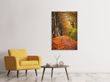 Load image into Gallery viewer, Canvas print Deciduous Forest In Autumn Light
