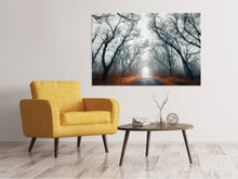 Load image into Gallery viewer, Canvas print Mysterious Mood In The Forest
