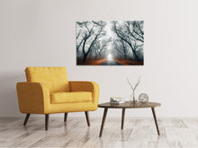 Load image into Gallery viewer, Canvas print Mysterious Mood In The Forest
