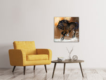 Load image into Gallery viewer, Canvas print Black Beauty
