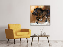 Load image into Gallery viewer, Canvas print Black Beauty
