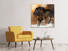 Load image into Gallery viewer, Canvas print Black Beauty
