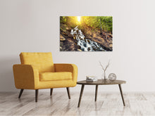 Load image into Gallery viewer, Canvas print Natural Beauty
