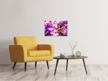Load image into Gallery viewer, Canvas print Orchid Paradise
