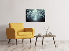 Load image into Gallery viewer, Canvas print Cloud Forest
