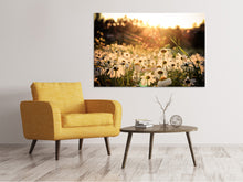 Load image into Gallery viewer, Canvas print Daisies At Sunset
