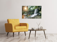 Load image into Gallery viewer, Canvas print Natural Spectacle
