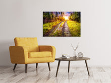 Load image into Gallery viewer, Canvas print The Forest Path
