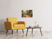 Load image into Gallery viewer, Canvas print Fairies Forest
