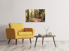 Load image into Gallery viewer, Canvas print Fairies Forest
