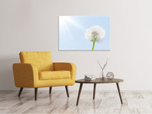 Load image into Gallery viewer, Canvas print Dandelion In Sunbeam
