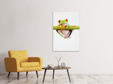 Load image into Gallery viewer, Canvas print Frog Acrobatics
