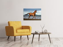 Load image into Gallery viewer, Canvas print A Thoroughbred At The Sea
