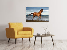 Load image into Gallery viewer, Canvas print A Thoroughbred At The Sea

