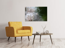Load image into Gallery viewer, Canvas print Close up Flowers Fibers
