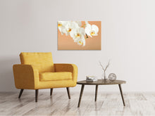 Load image into Gallery viewer, Canvas print White Orchid Flowers
