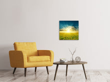 Load image into Gallery viewer, Canvas print Sunflowers In The Evening Sun
