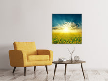 Load image into Gallery viewer, Canvas print Sunflowers In The Evening Sun
