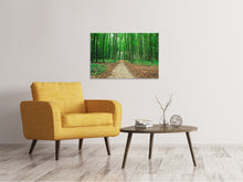 Load image into Gallery viewer, Canvas print Pine Forests
