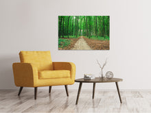 Load image into Gallery viewer, Canvas print Pine Forests
