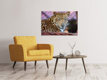 Load image into Gallery viewer, Canvas print Leopard
