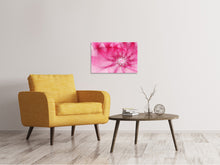 Load image into Gallery viewer, Canvas print Photowallpaper Abstract Daylight
