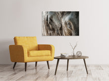 Load image into Gallery viewer, Canvas print Close Up Elephant
