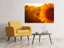 Load image into Gallery viewer, Canvas print Macro Sunflower
