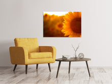 Load image into Gallery viewer, Canvas print Macro Sunflower

