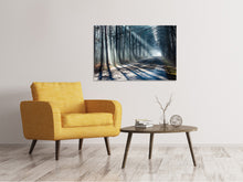 Load image into Gallery viewer, Canvas print Forest In The Light Beam
